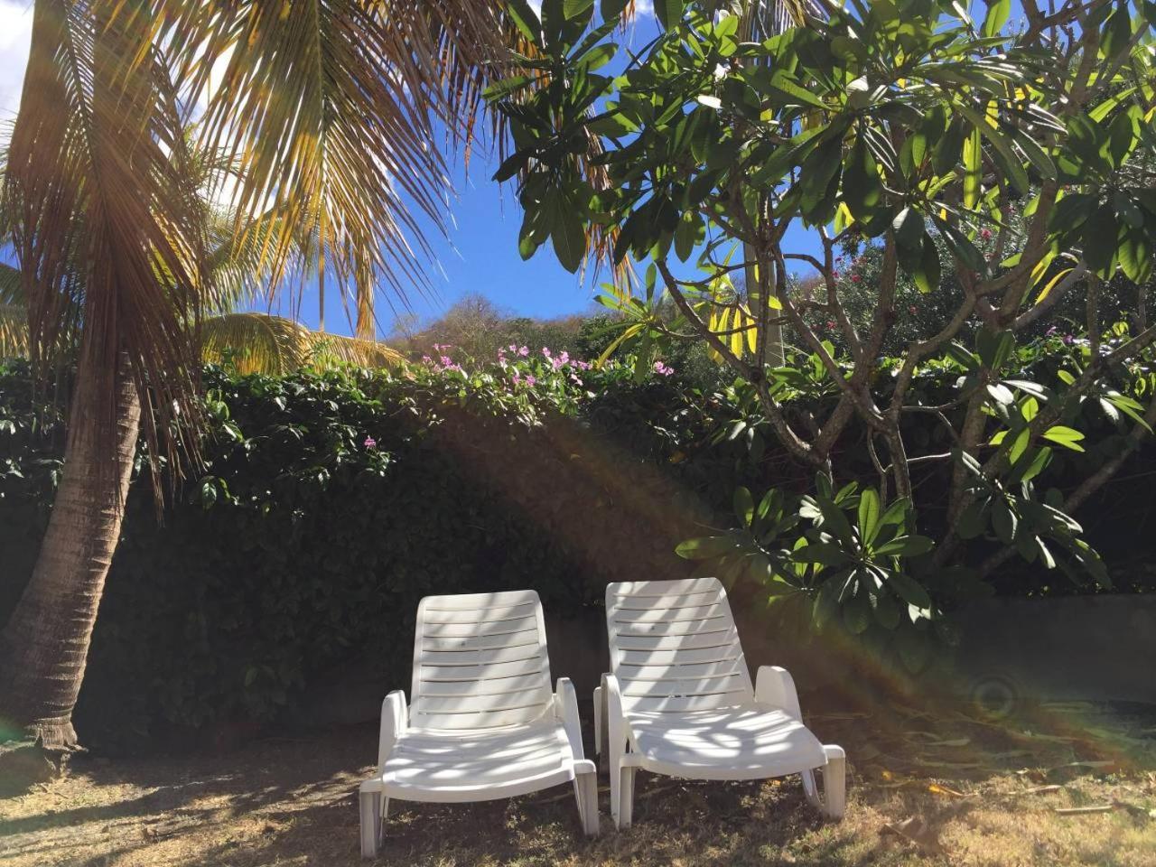 Apartamento T2 tropical en bord de piscine à 100m de la mer Le Carbet Exterior foto
